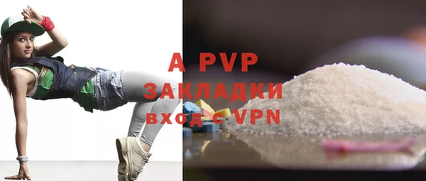 стафф Алексин