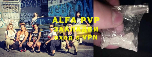 стафф Алексин