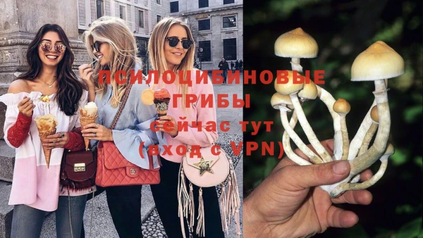кокаин премиум Пролетарск