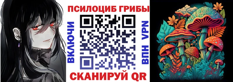 Псилоцибиновые грибы Psilocybe  Кызыл 